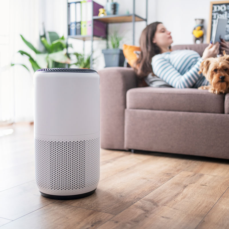 air purifier and lady with dog